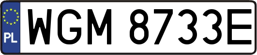 WGM8733E