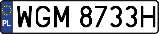 WGM8733H
