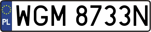 WGM8733N