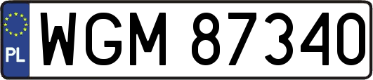 WGM87340