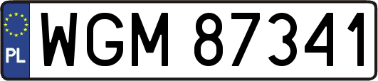 WGM87341