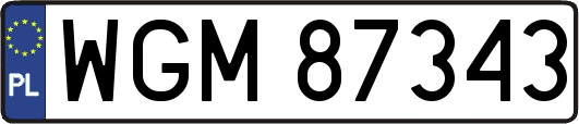 WGM87343