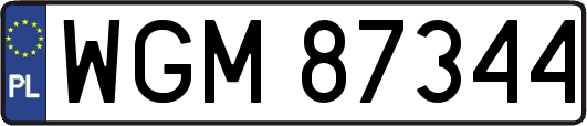 WGM87344