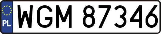 WGM87346