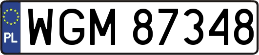 WGM87348