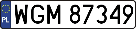 WGM87349