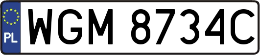 WGM8734C