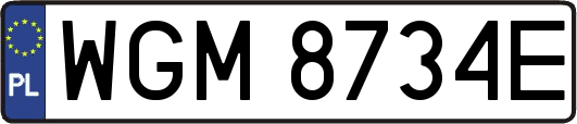 WGM8734E
