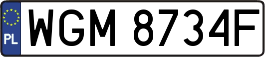 WGM8734F