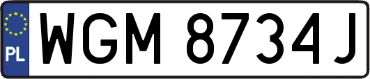 WGM8734J