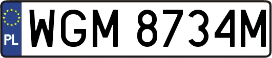 WGM8734M