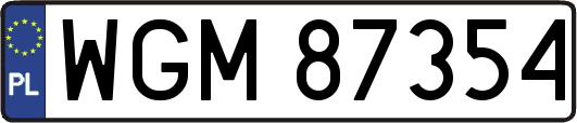 WGM87354