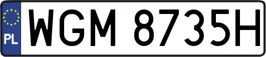 WGM8735H