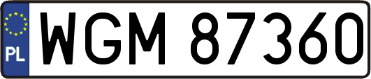 WGM87360
