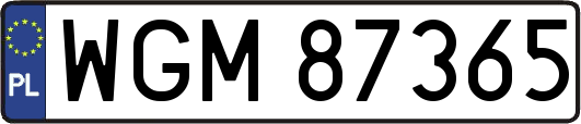 WGM87365