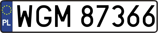 WGM87366