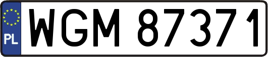 WGM87371