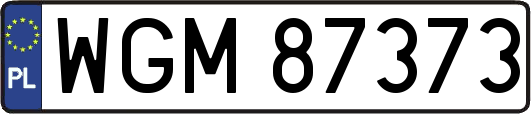 WGM87373