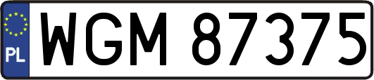WGM87375