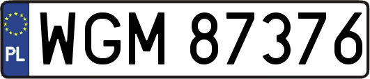 WGM87376