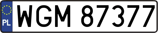 WGM87377