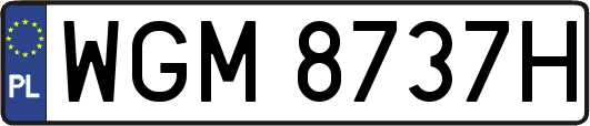 WGM8737H