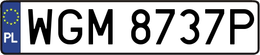 WGM8737P