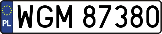 WGM87380