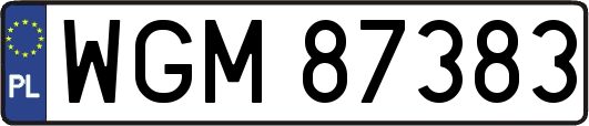 WGM87383
