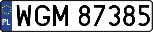 WGM87385