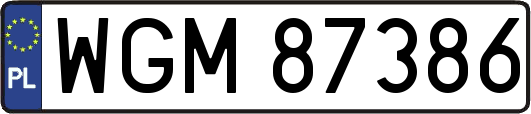 WGM87386