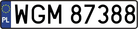 WGM87388
