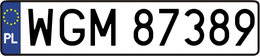 WGM87389