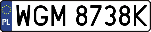 WGM8738K