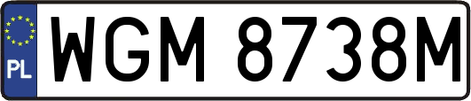 WGM8738M