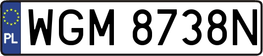 WGM8738N