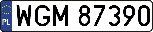 WGM87390