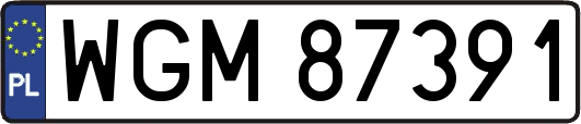 WGM87391