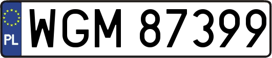 WGM87399
