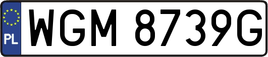 WGM8739G