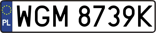 WGM8739K