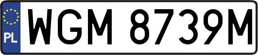 WGM8739M