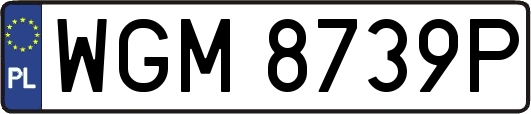 WGM8739P