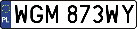 WGM873WY
