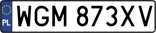 WGM873XV
