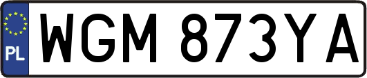 WGM873YA