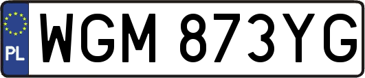WGM873YG