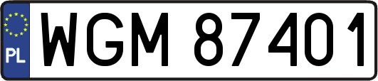 WGM87401