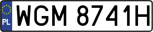 WGM8741H