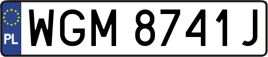 WGM8741J
